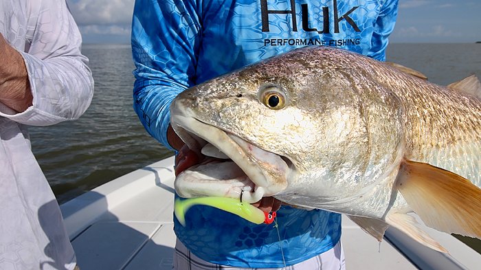 A New Beginner's Guide to Inshore Fishing